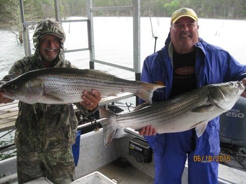 Nice Striped Bass